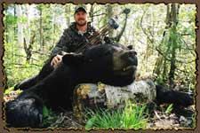 Bear hunts, Bear hunting guides, Big bear hunts, Quebec hunting guides Claude Turcotte