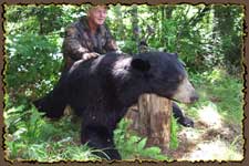 Bear hunts, Bear hunting guides, Big bear hunts, Quebec hunting guides Claude Turcotte