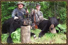 Bear hunts, Bear hunting guides, Big bear hunts, Quebec hunting guides Claude Turcotte