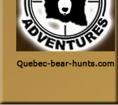 bear hunts, quebec bear hunts, bear hunting, bear hunting quebec, big bear hunts claude turcotte