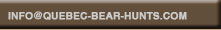 bear hunts in quebec canada, black bear hunts, big bear hunts