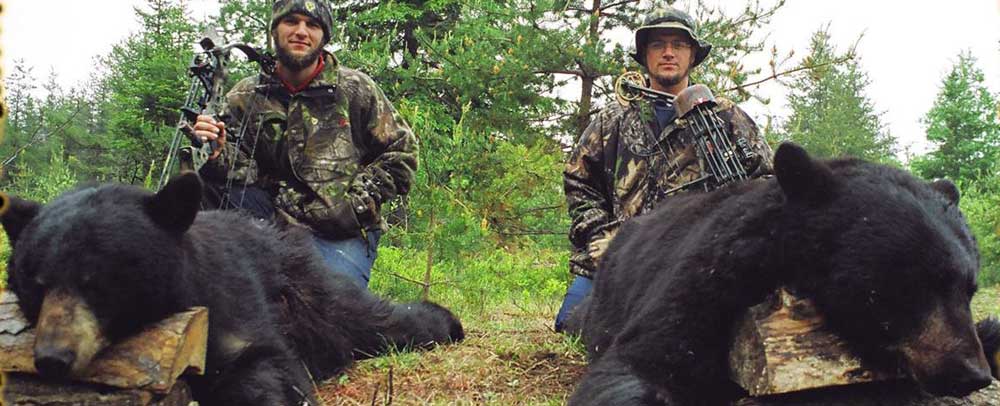 Bear hunts, Bear hunting guides, Big bear hunts, Quebec hunting guides Claude Turcotte