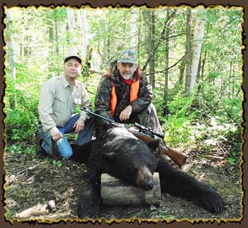 Bear hunts, Quebec bear hunting guides, bear hunting in Canada with Claude Turcotte Big Bear Hunts 